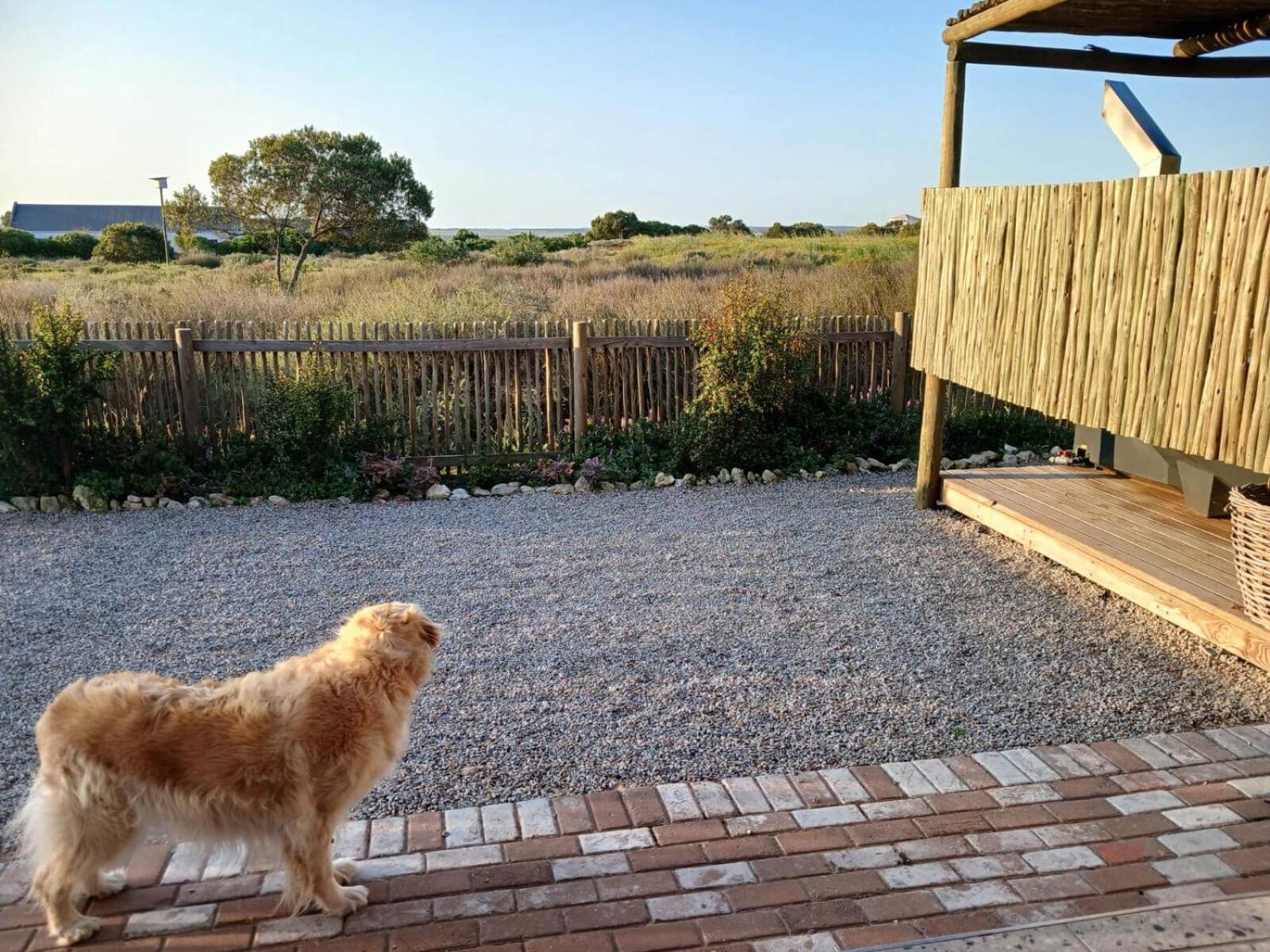 Camelot Cottages Langebaan Exterior photo